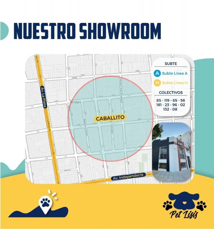 Bandeja Sanitaria Mini Tonipets Perros Cachorros Mascotas