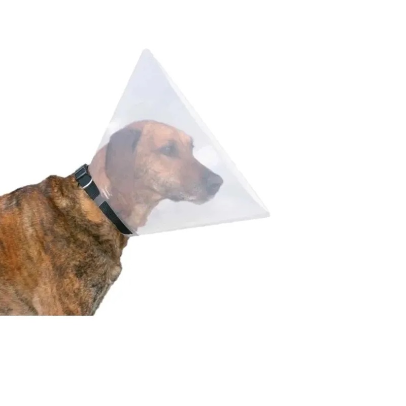 Collar Isabelino Plástico S-m Perros Cachorros Mascotas