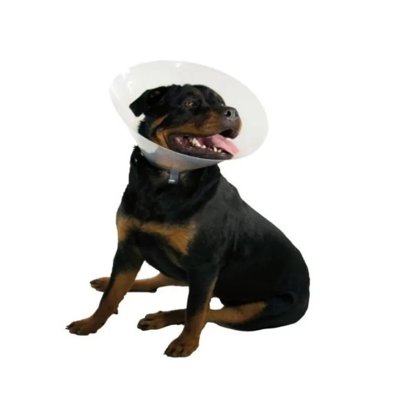 Collar Isabelino Plástico S-m Perros Cachorros Mascotas