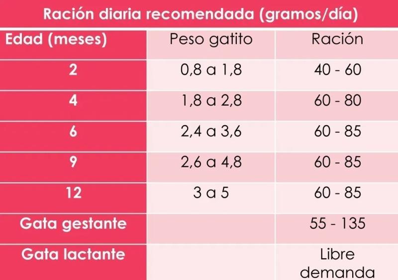 Alimento Para Gato Unik Gatito 2kg Premium