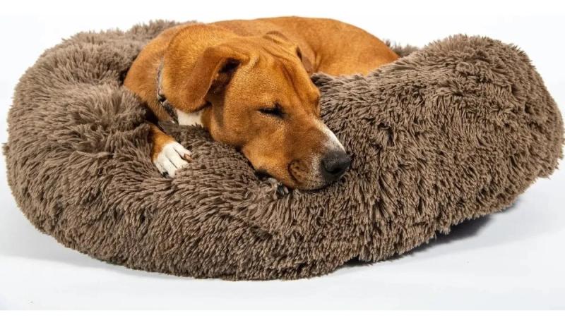 Cama Cucha Nordica Moises Eggys L