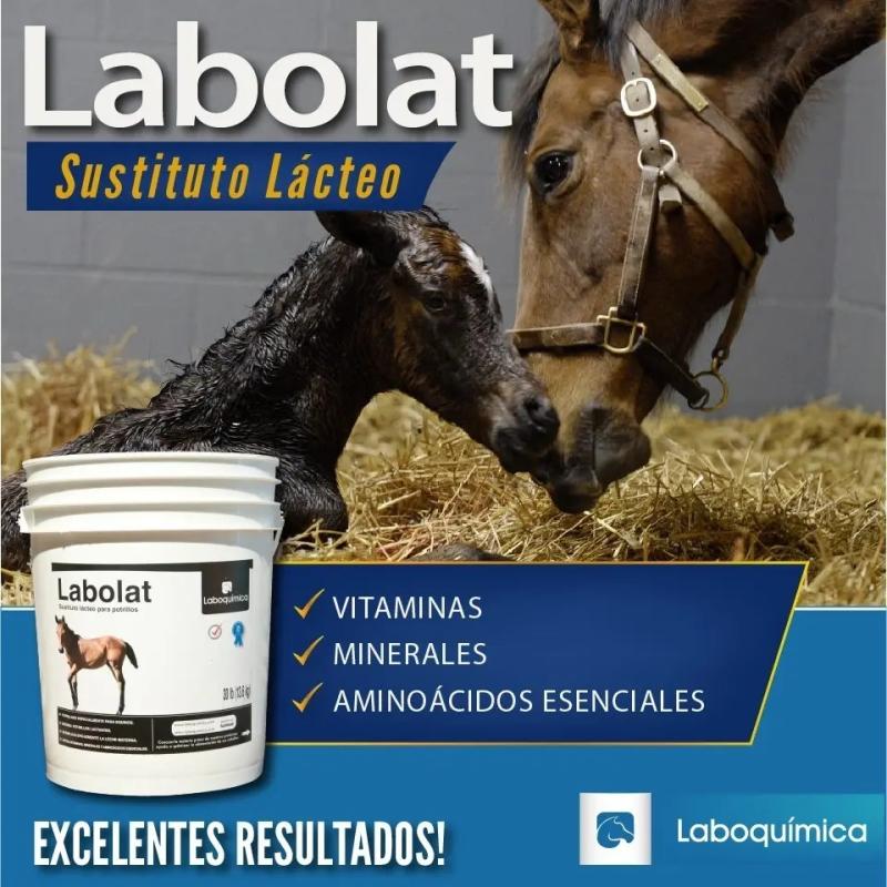 Sustituto Lacteo Labolat Potrillos 5kg Laboquimica Equinos