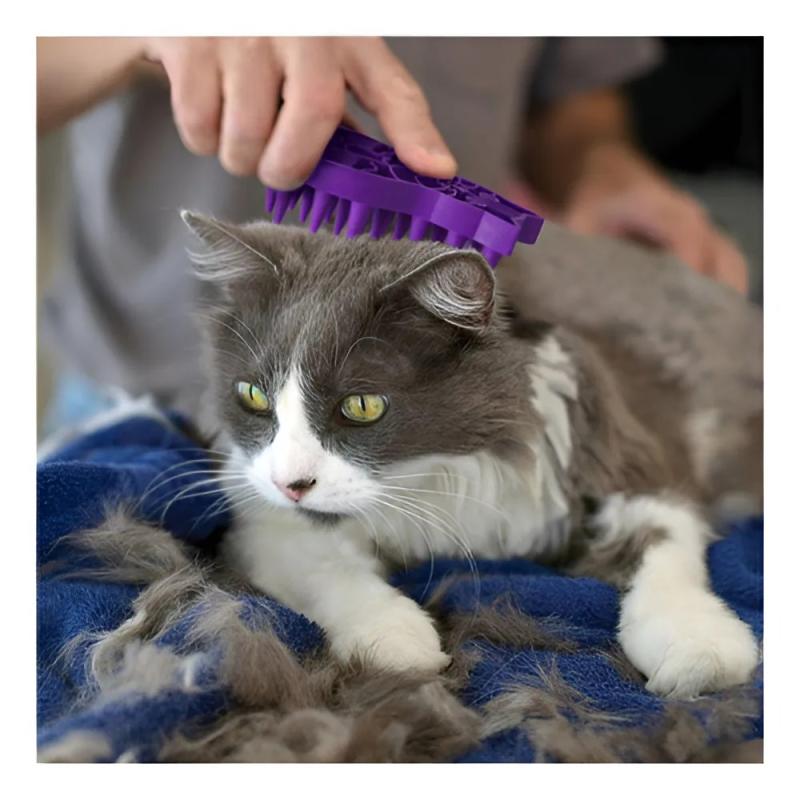 Cepillo Peine De Masaje Zoom Groom Gatos Kong