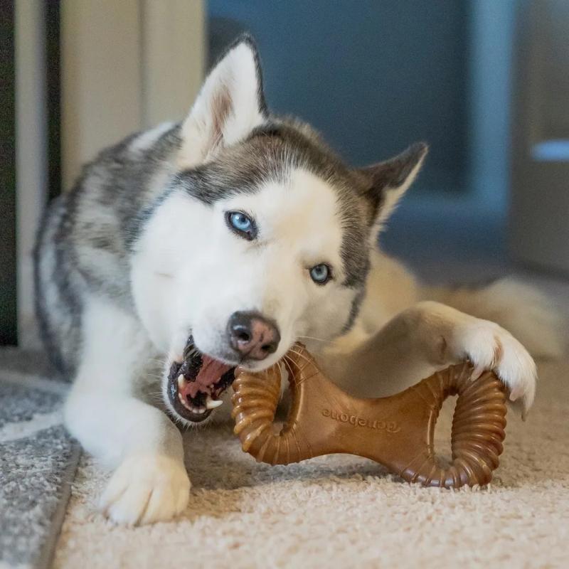 Hueso Dental Masticable Benebone Chew Sabor Bacon Medium