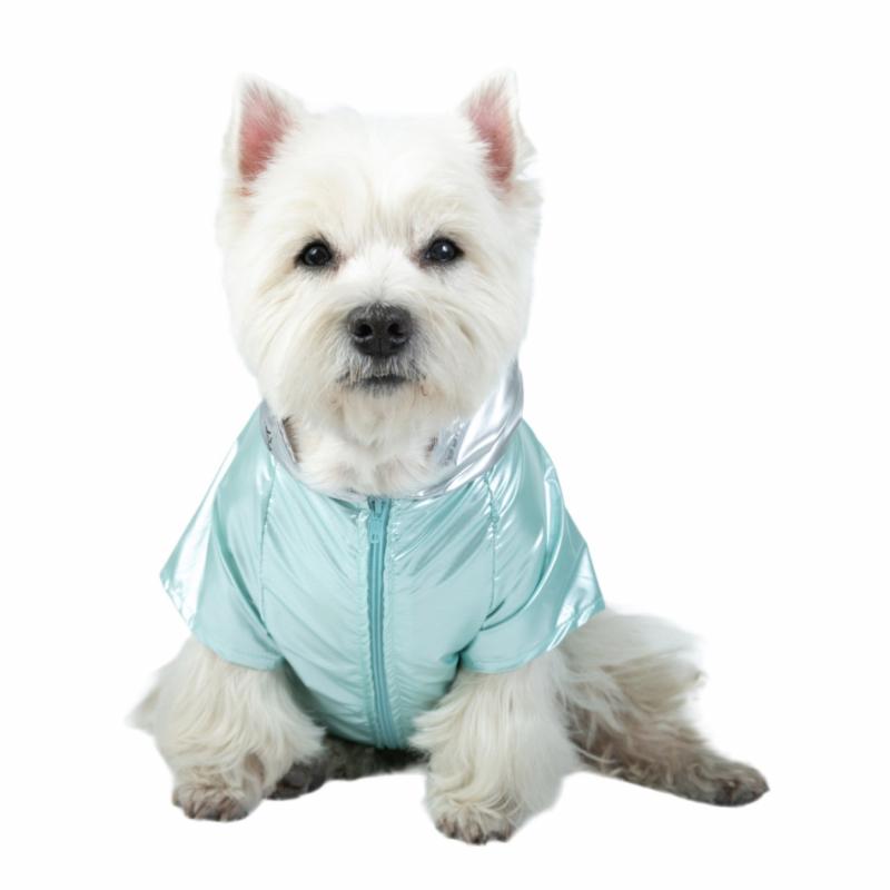 Campera Rompeviento Univer para perros Cachorros Mascotas