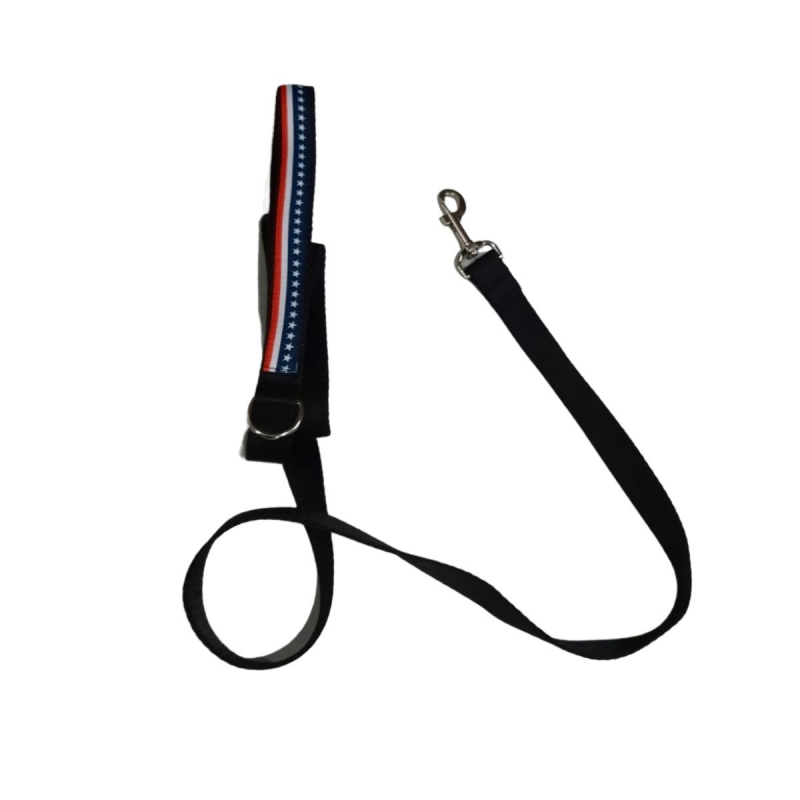 Correa Grande Para Perros Mascotas