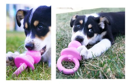 Juguete Para Perro Chupete Rellenable Puppy Small Kong