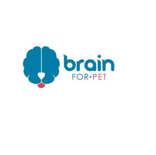 BRAIN FOR PET