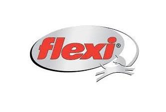 FLEXI