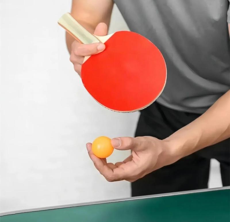 Set Ping Pong Profesional 2 Paletas 3 Pelotas Red Retráctil