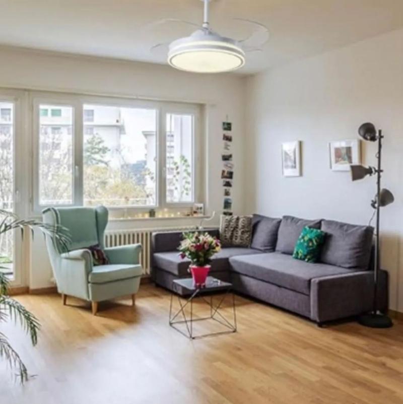 Ventilador De Techo Luz Cálida Fría Retráctil Con Control