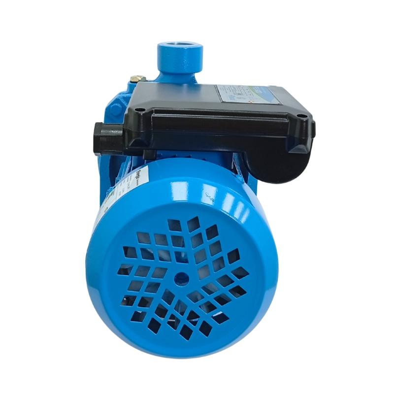 Bomba Centrífuga 0.5HP 20m Fluvial FE 500