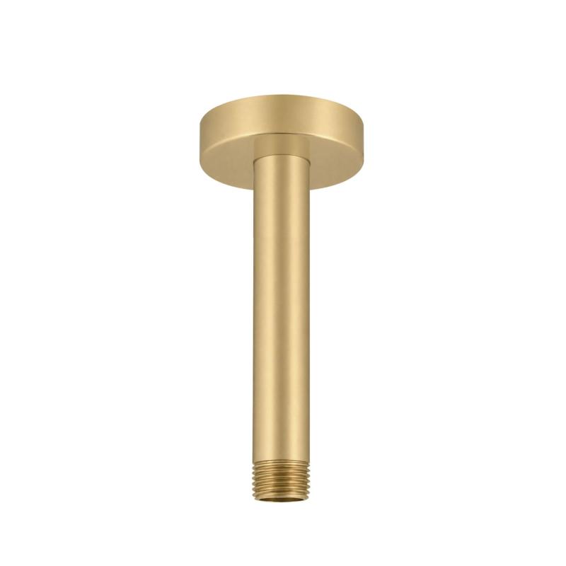 Caño Ducha Recto Para Techo 150mm Peirano A1452G Gold