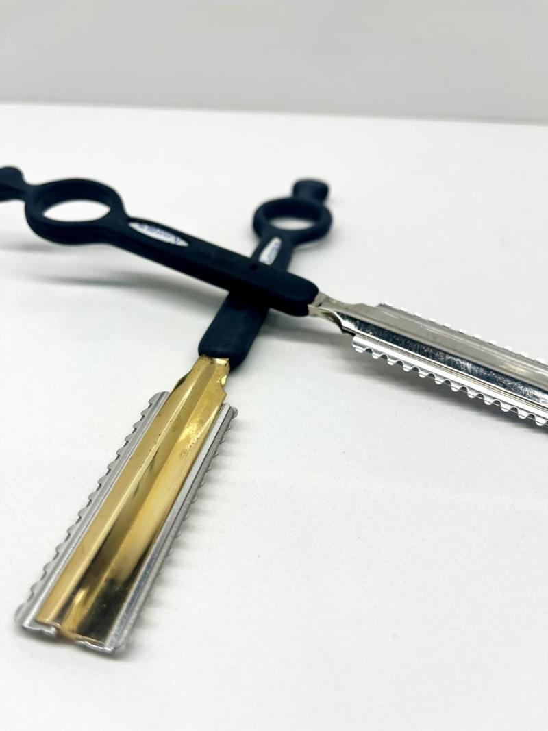 Navajin doble Hokkaido TV2000