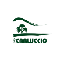 ING CARLUCCIO
