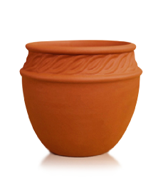 Calchaquí 24