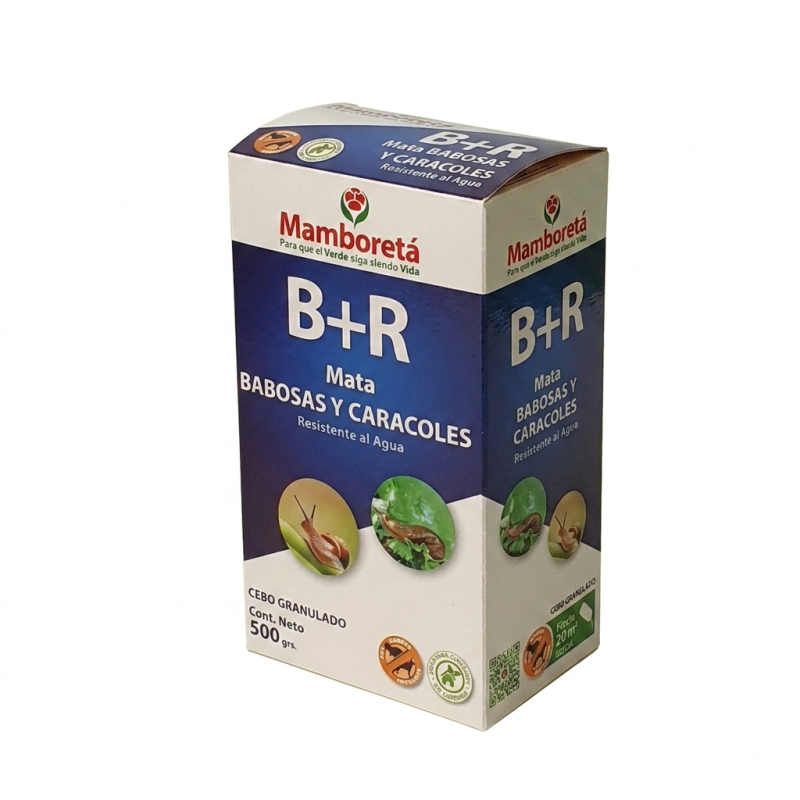 Mamboretá B+R
