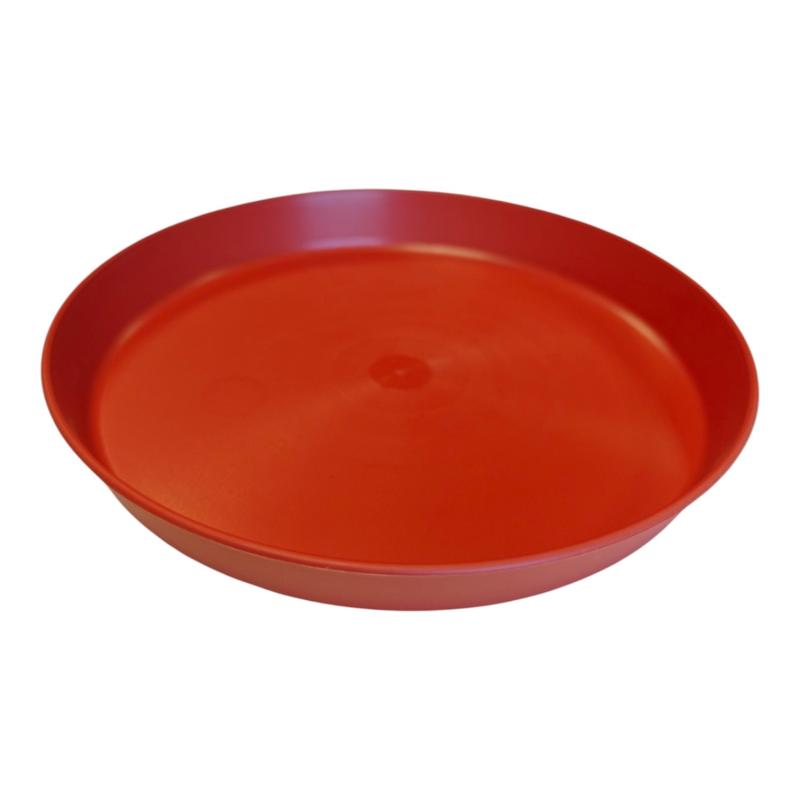 Plato Eco