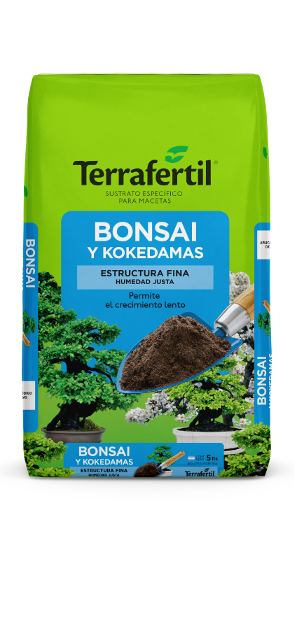 Sustrato para Bonsái
