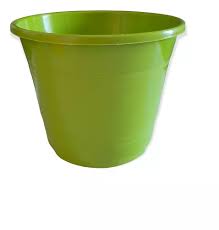 Rocío