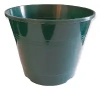 Rocío