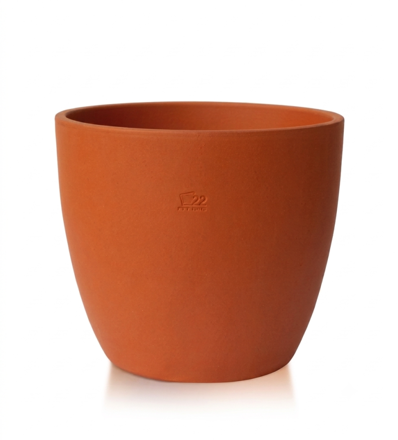 Nórdica 22