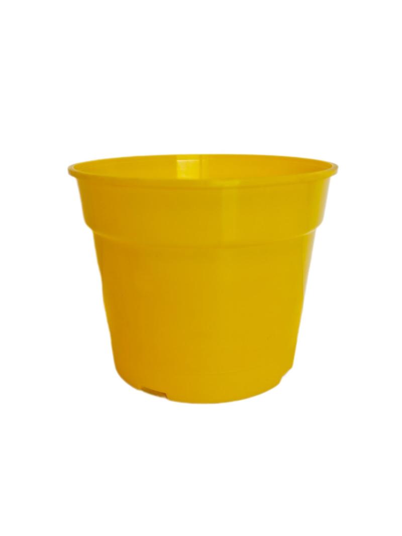 Cultivo