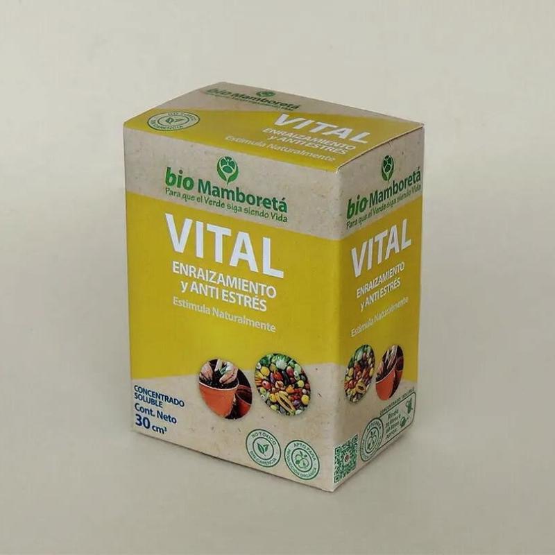 Mamboretá Vital