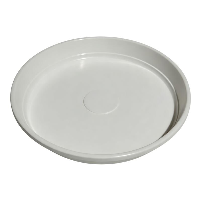 Plato Clásico