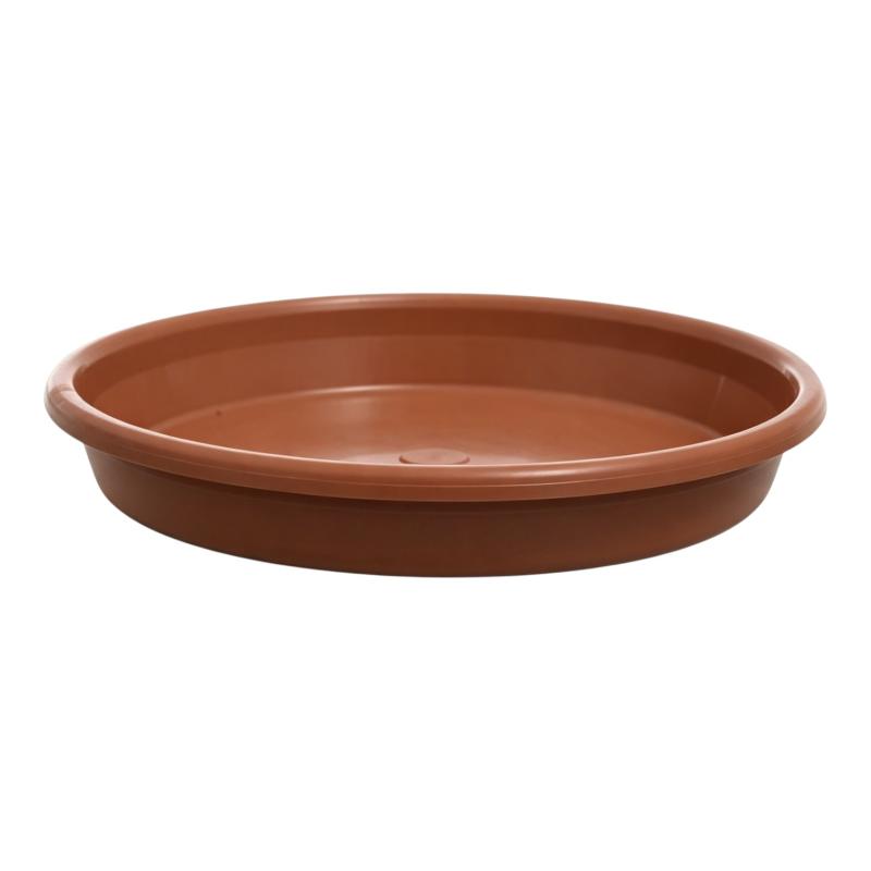 Plato Clásico