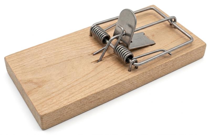 Trampa de Madera para Lauchas