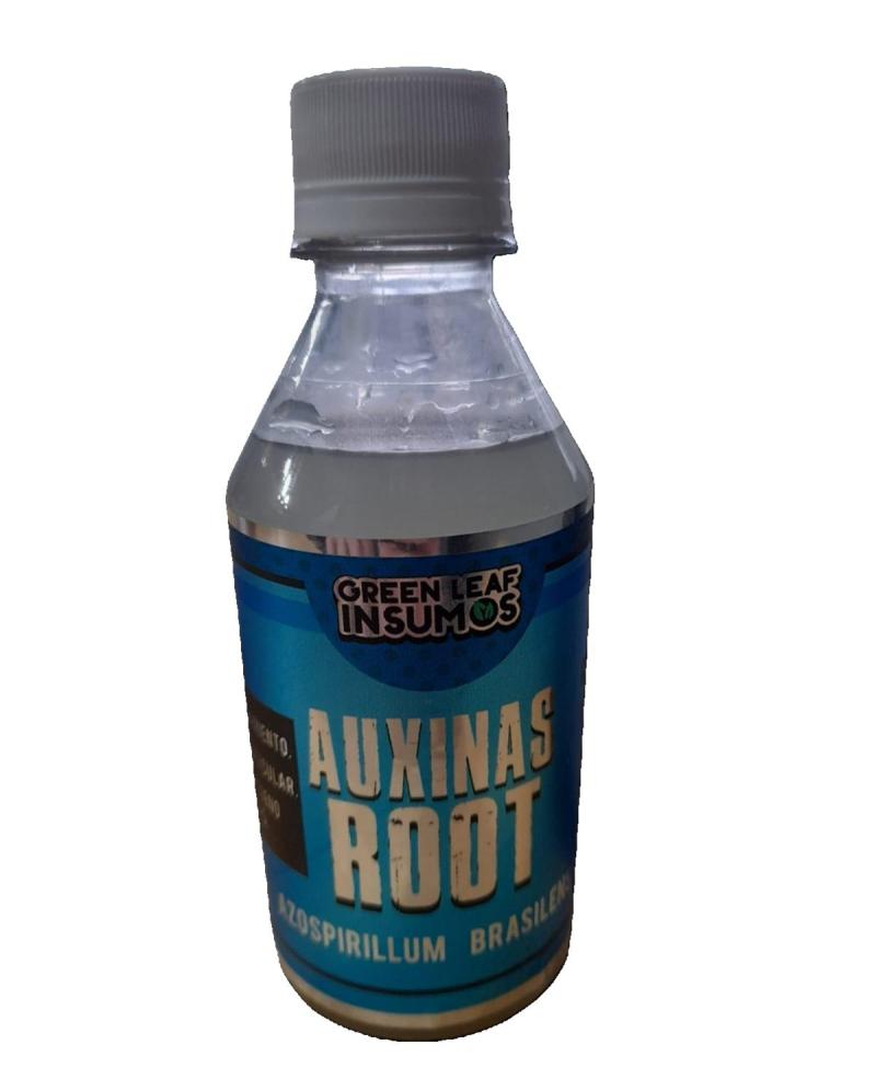 Auxinas Root