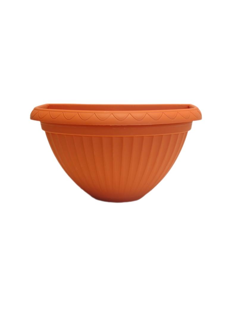 Denise Pared con plato