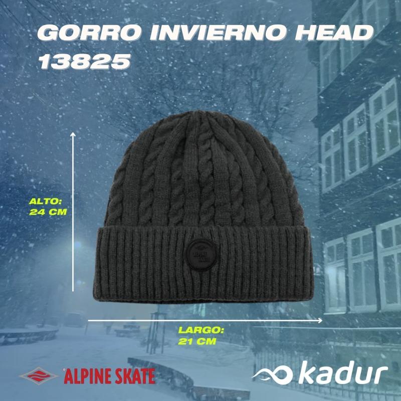 GORRO ALPINE SKATE URBANO INVIERNO 18802