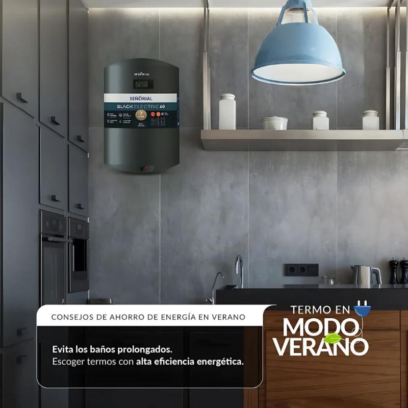 Termotanque Señorial Black Eléctrico TSBE-60 57L C. Inferior