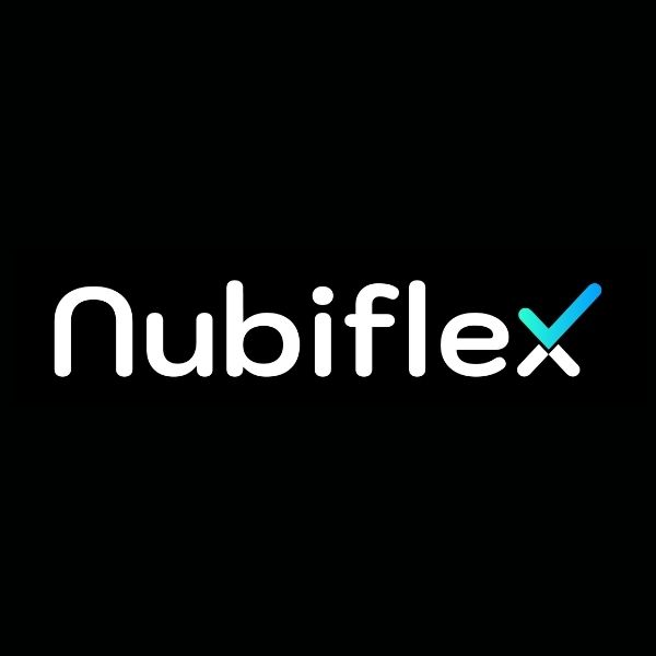 Almohada Copos De Espuma Nubiflex 40x65 Tradicional