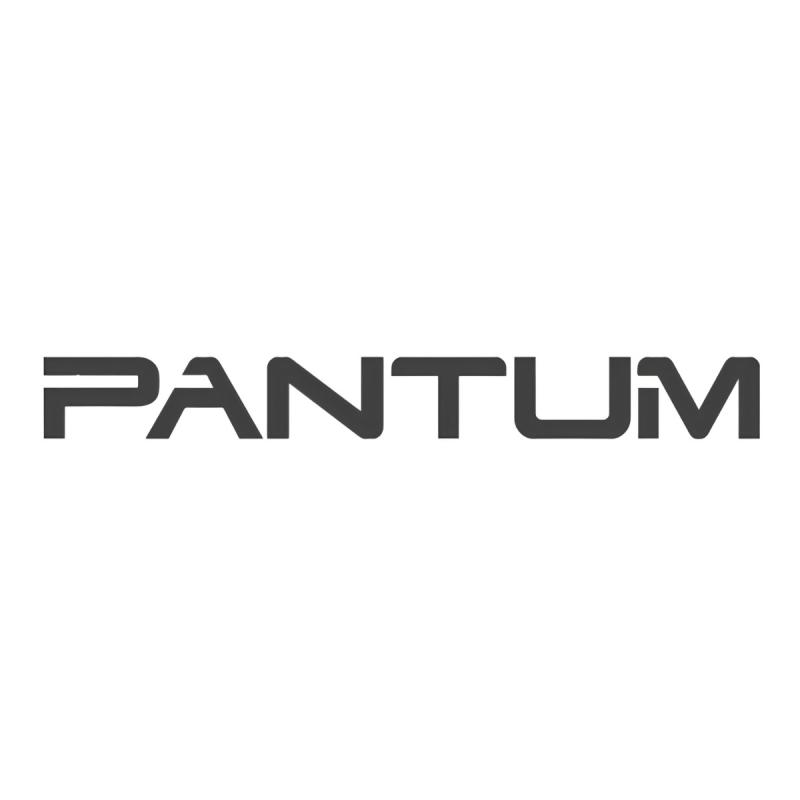 Impresora Monofunción Láser B/N Pantum BP2300W Wifi Bt