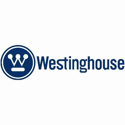 Rasuradora + Detalladora De Precisión Westinghouse Wh1145