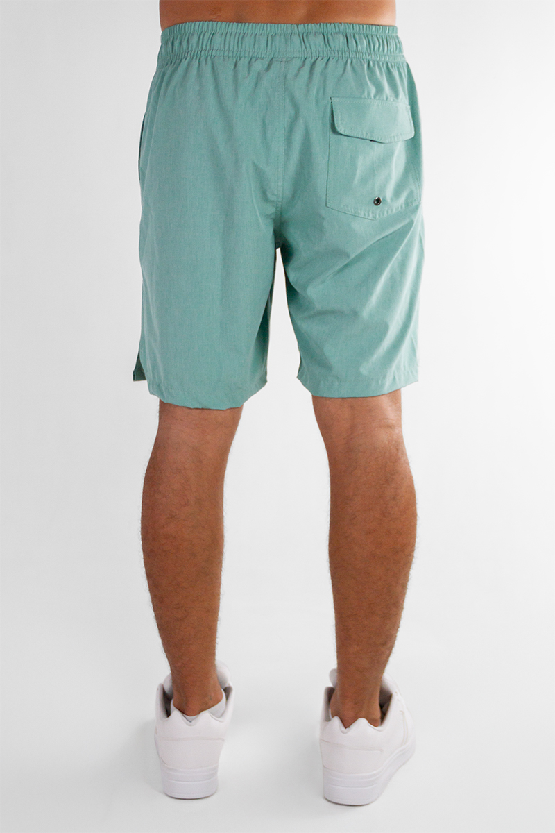 Short Ocn Hombre Arrecife Verde