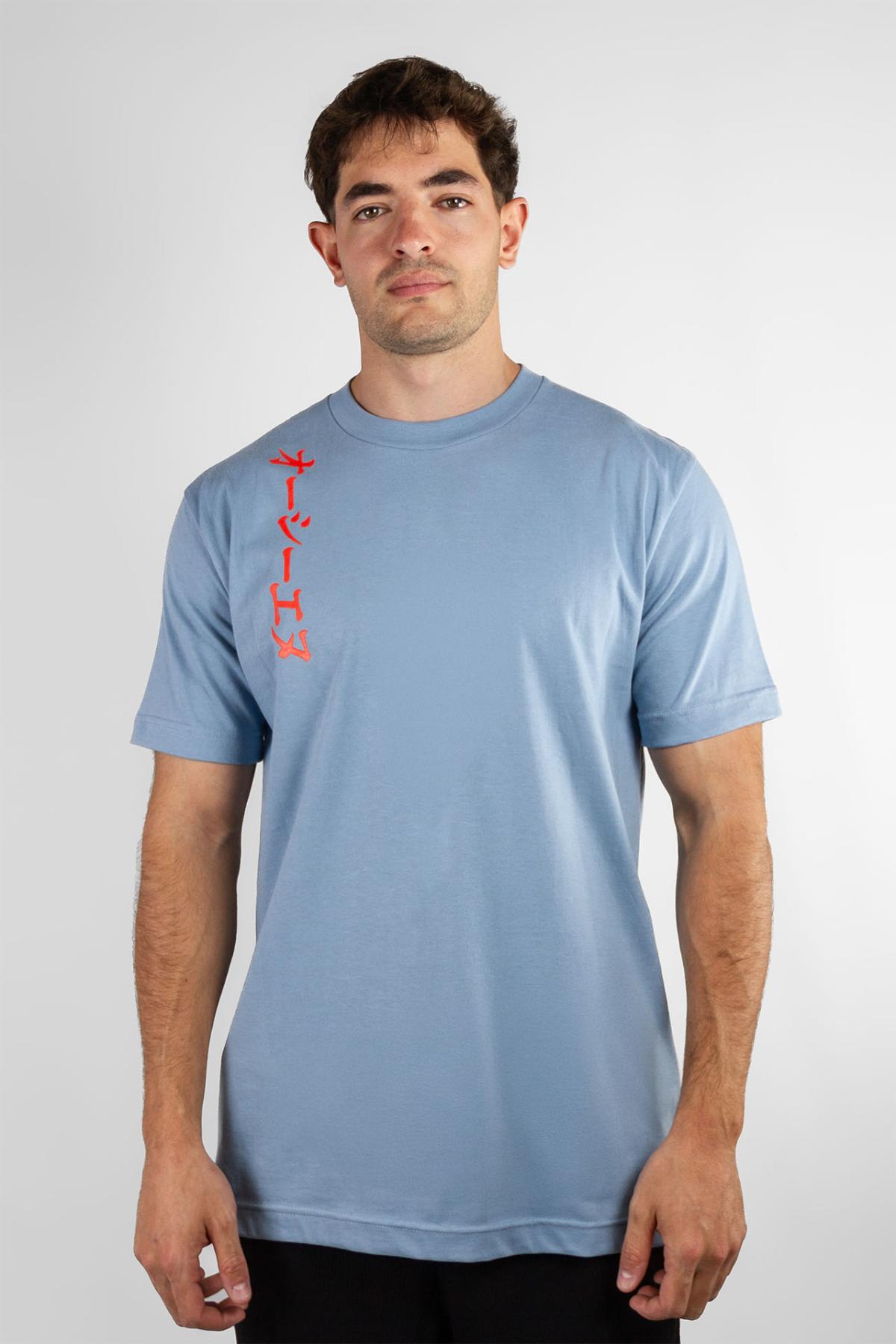 Remera Ocn Orian Regular Celeste (D8)