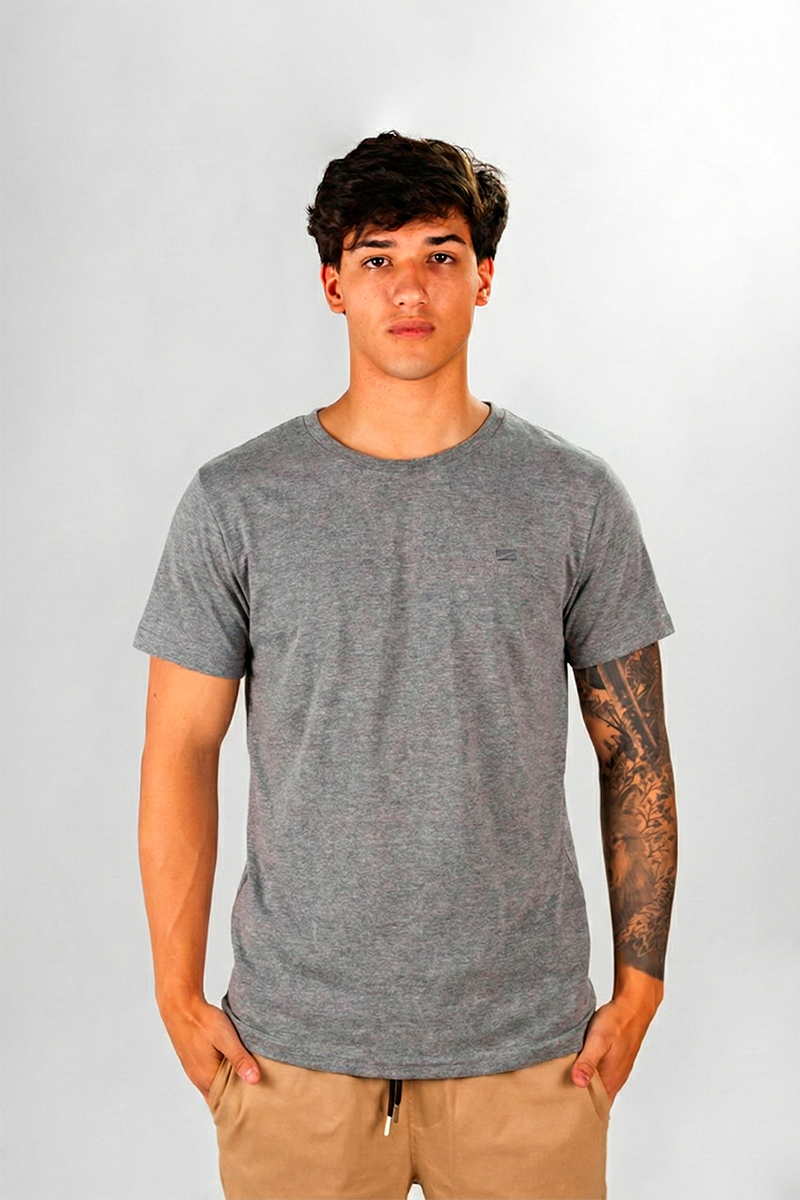 Remera Ocn Basic Gris