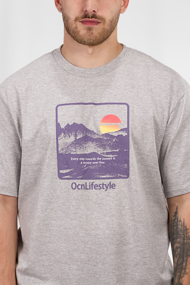 Remera Ocn Hombre Original Gris C2