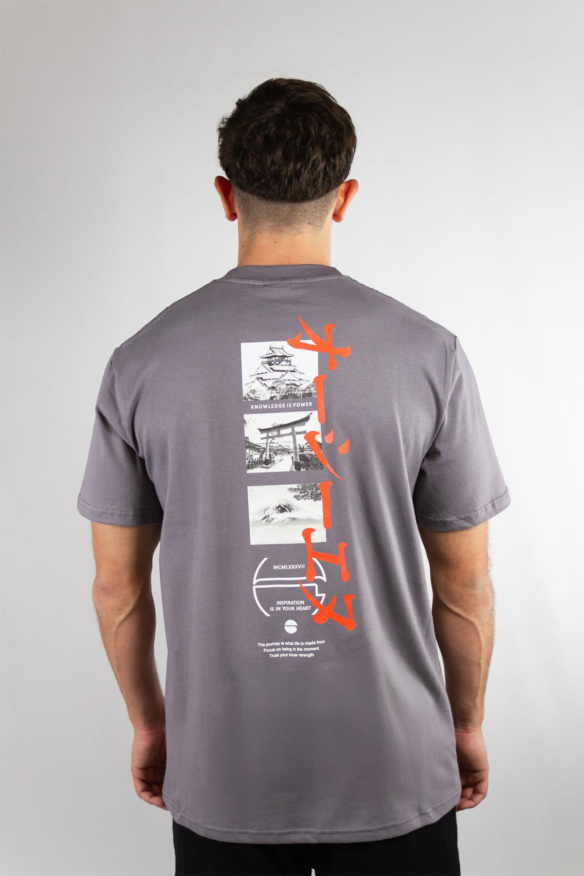 Remera Ocn Orian Relax Gris(B2)