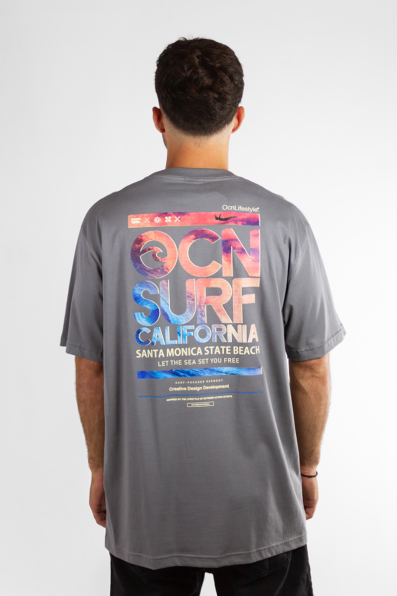 Remera Ocn Hombre Premium Regular Gris(L3)