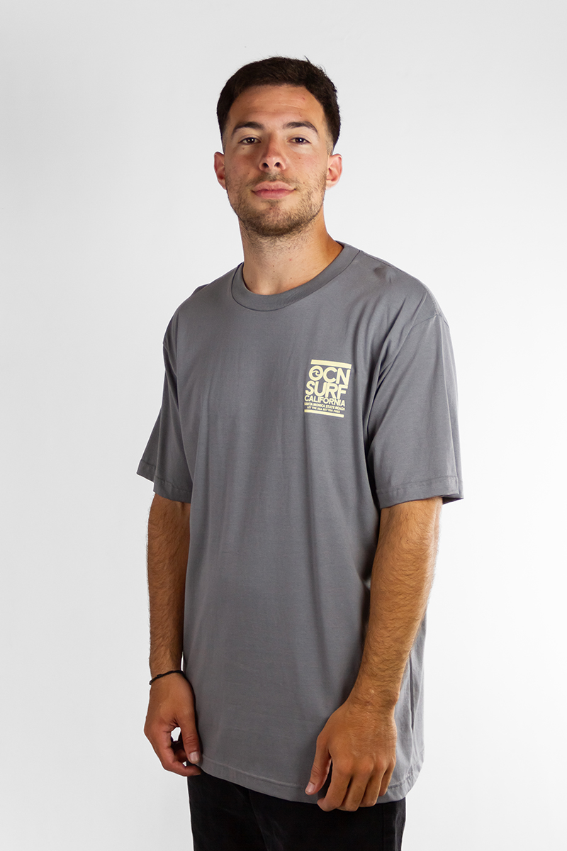 Remera Ocn Hombre Premium Regular Gris(L3)