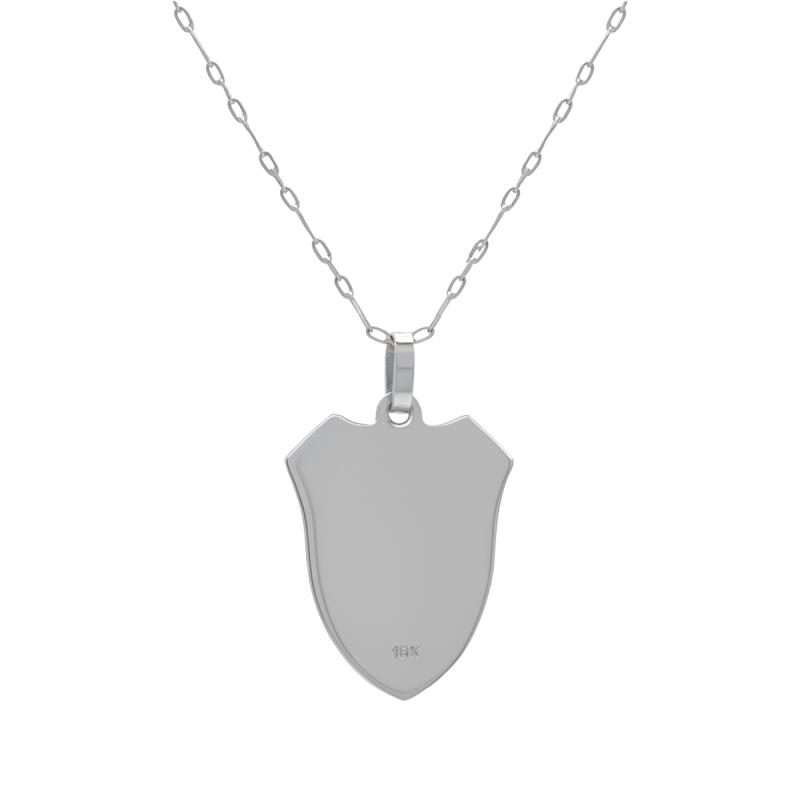 Conjunto dije de platino esmaltado + Cadena de platino - River Plate