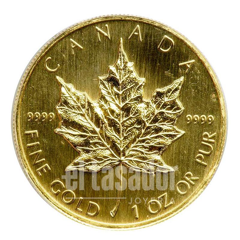 Moneda de oro 24 Kts. Maple leaf canadiense 1 oz