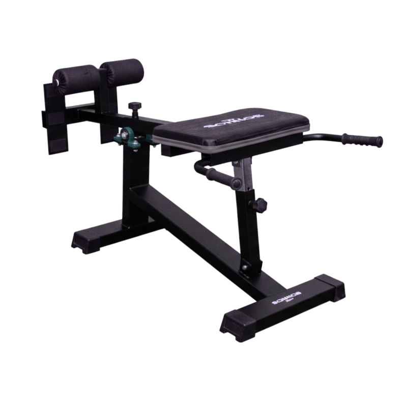 Banco de Espinales Hiperextensiones Profesional Sonnos M100