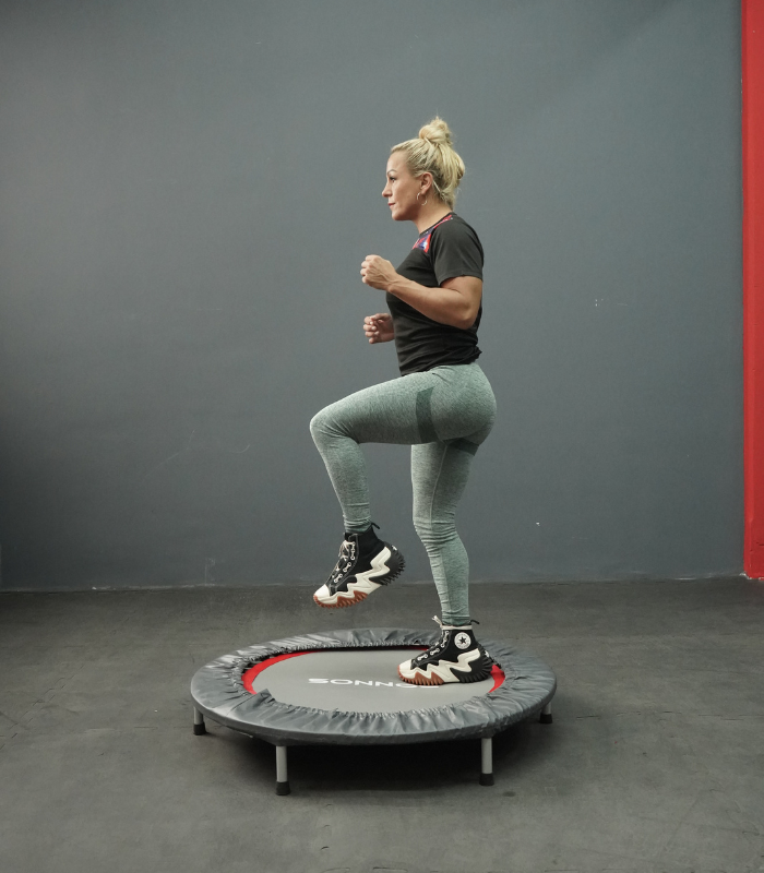 Minitramp Sonnos PRO 36 Resortes con Funda – Uso Profesional