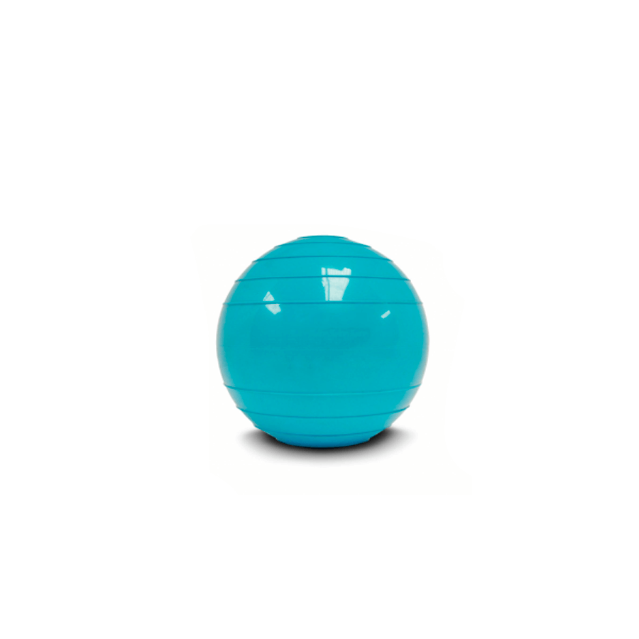 MEDICINE BALL PVC 1kg (con pique)
